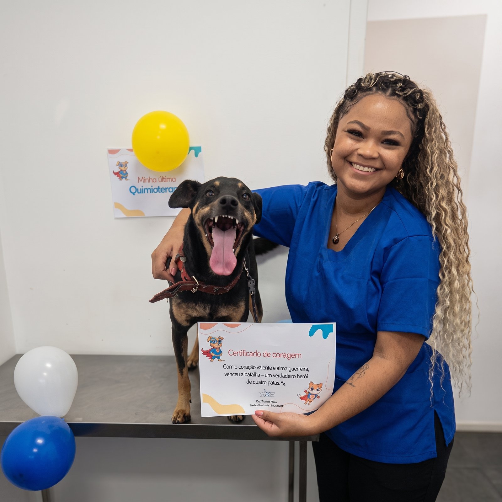 Quimioterapia veterinária em cães e gatos